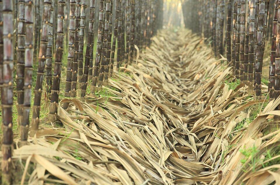 生物質顆粒燃料——減輕農民經濟負擔的好幫手！